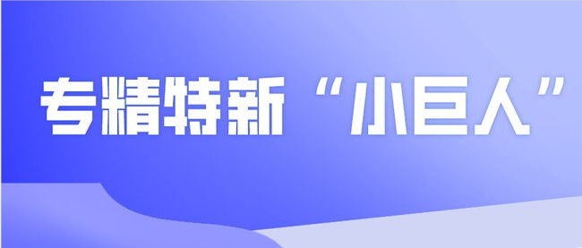 專精特新“小巨人”企業發展加速