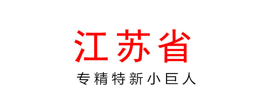 關(guān)于申報(bào)推薦2021年度省級(jí)專(zhuān)精特新小巨人企業(yè)和組織開(kāi)展有關(guān)復(fù)核工作的通知
