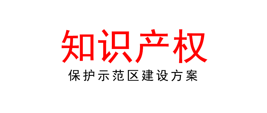 國家知識產權局關于印發《國家知識產權保護示范區建設方案》的通知